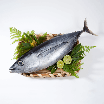 マグロやカツオといった回遊魚の写真